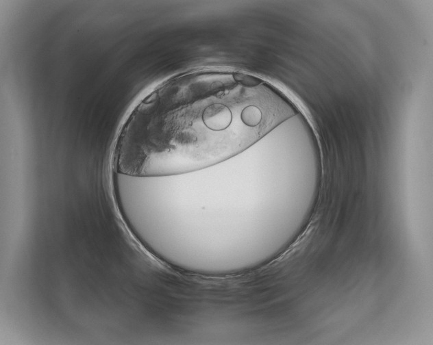 X0000111881341200907231419