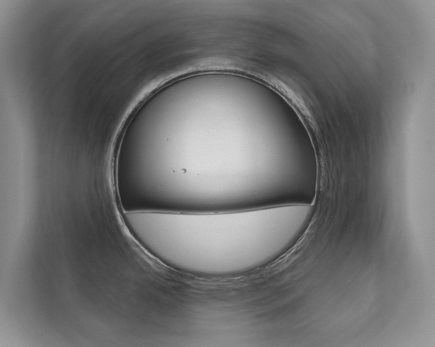 X0000111881342200907231419