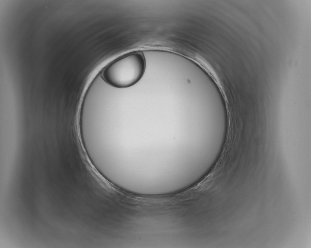 X0000111881344200907231419