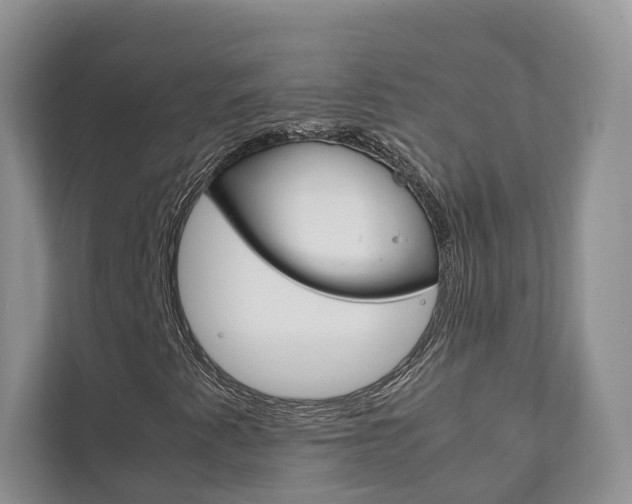 X0000111881345200907231419