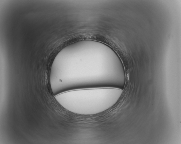 X0000111881347200907231419