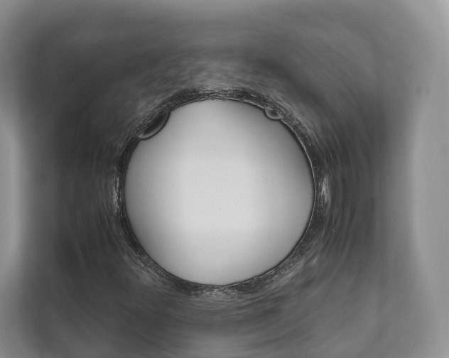 X0000111881348200907231419