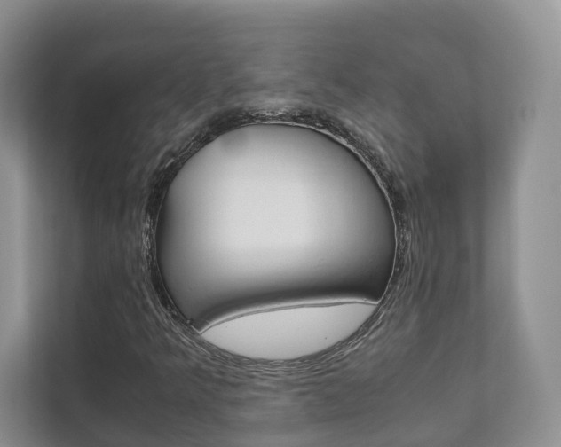 X0000111881349200907231419