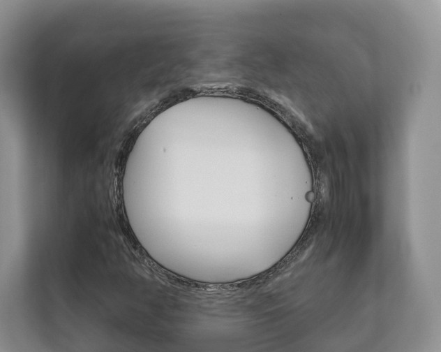 X0000111881350200907231418
