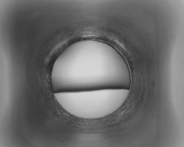 X0000111881351200907231418