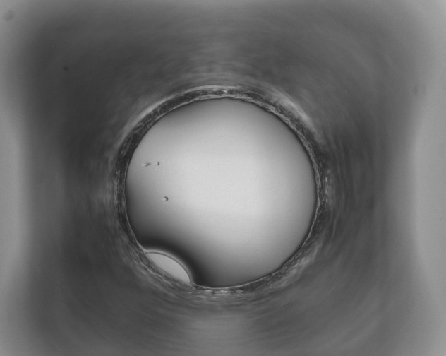 X0000111881352200907231418