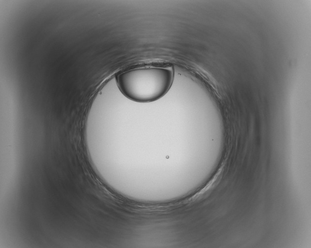 X0000111881353200907231418
