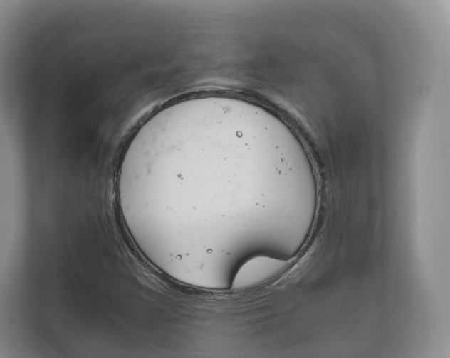 X0000111881355200907231418