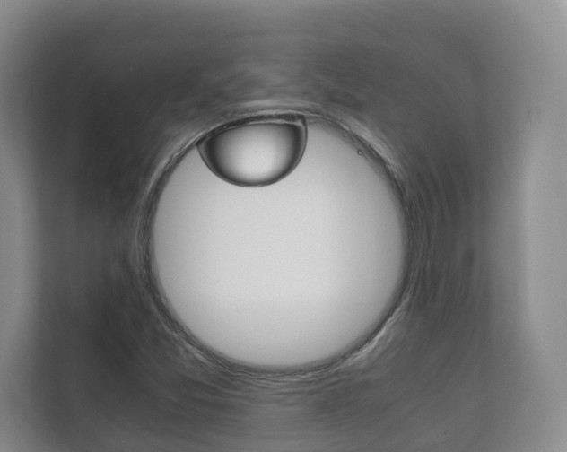 X0000111881357200907231418