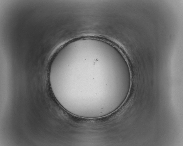 X0000111881359200907231418