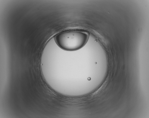 X0000111881361200907231418