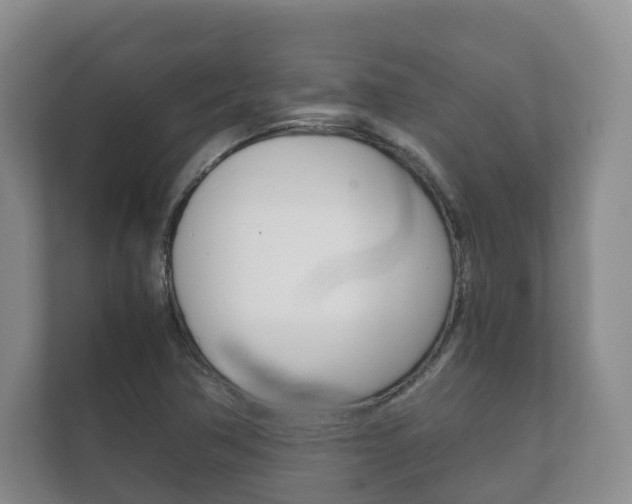 X0000111881362200907231418
