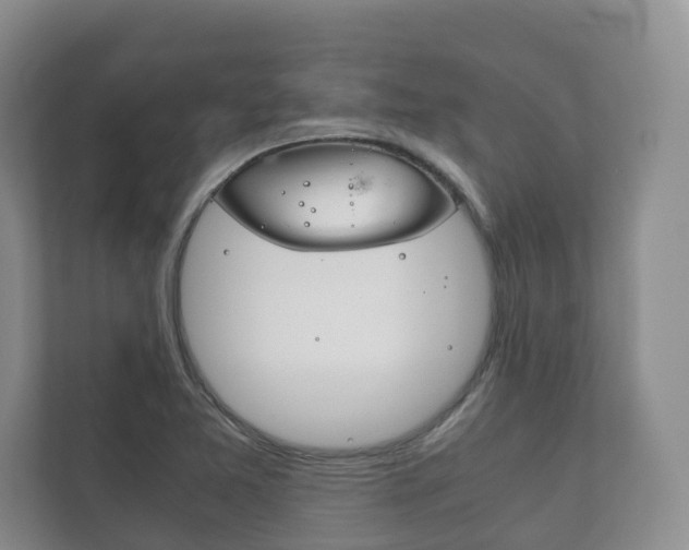 X0000111881365200907231418