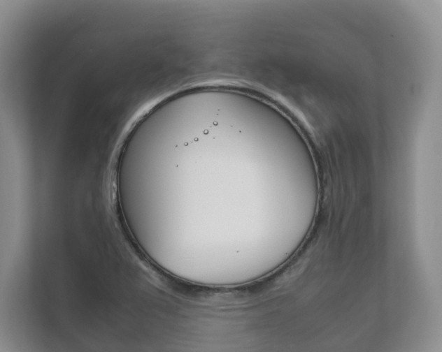 X0000111881367200907231418