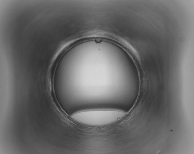 X0000111881368200907231418