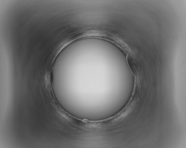 X0000111881369200907231418