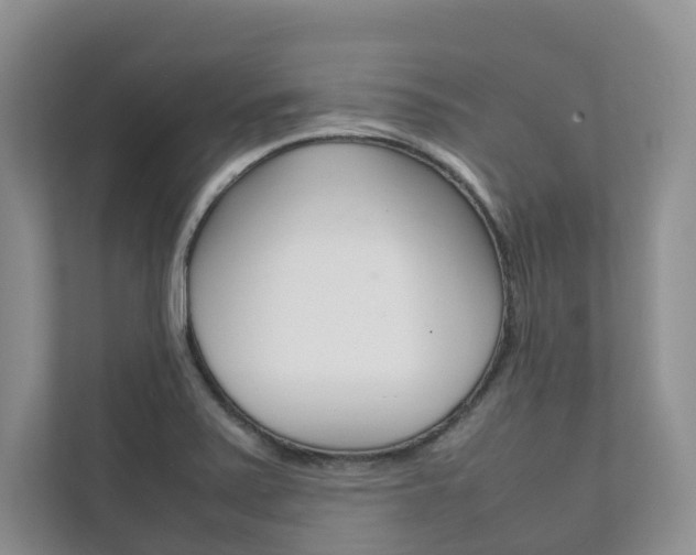 X0000111881371200907231418