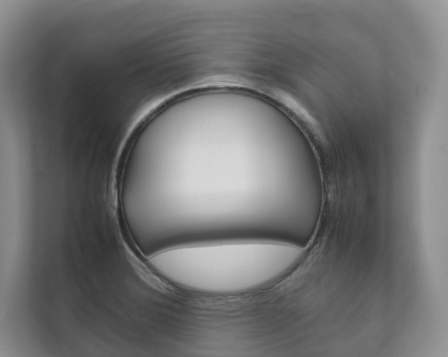 X0000111881372200907231418