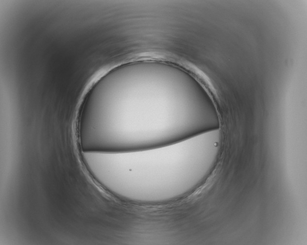 X0000111881373200907231418