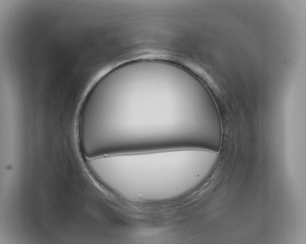 X0000111881375200907231418