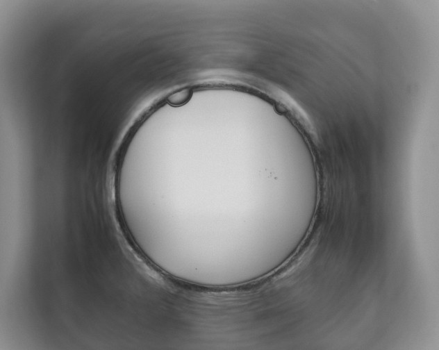 X0000111881376200907231418