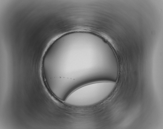 X0000111881379200907231418