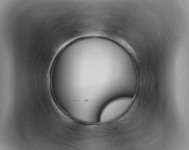 X0000111881380200907231418