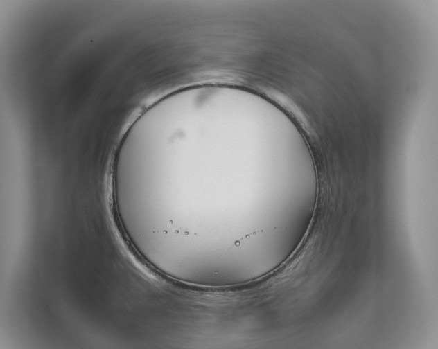 X0000111881383200907231418