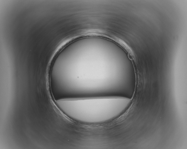 X0000111881384200907231418