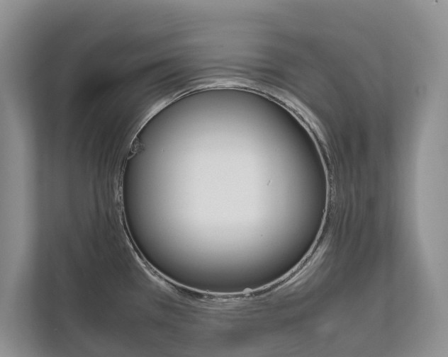 X0000111881385200907231418