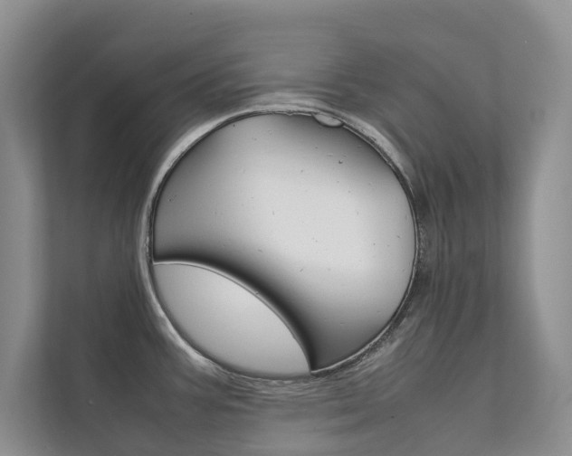 X0000111881387200907231418
