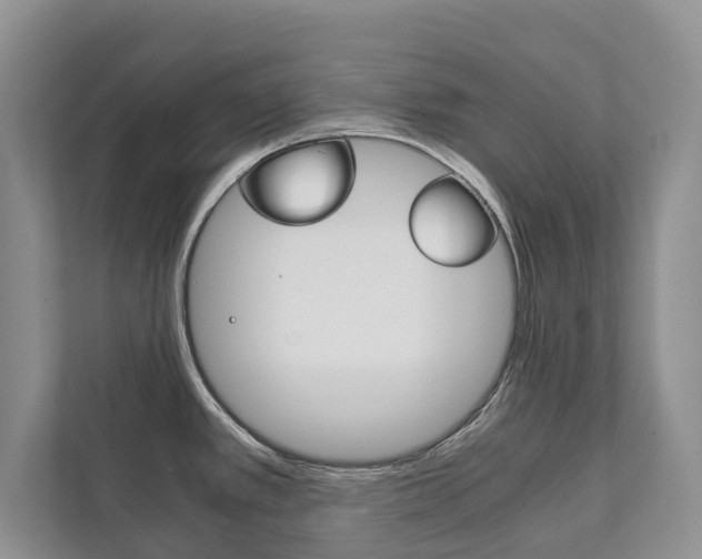 X0000111881389200907231418