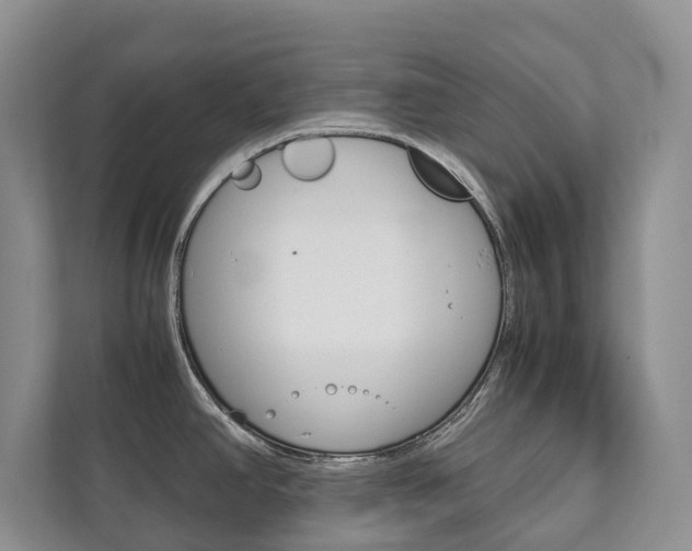 X0000111881390200907231418