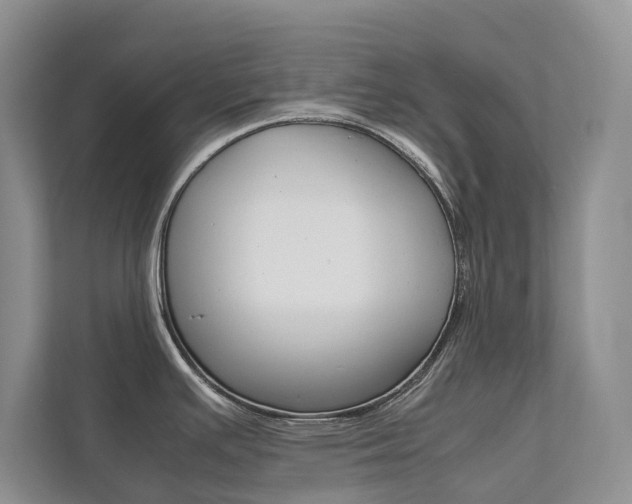X0000111881391200907231418