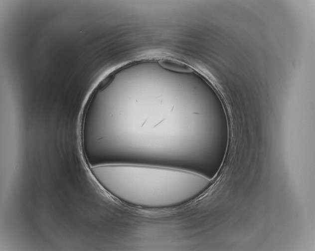 X0000111881392200907231418