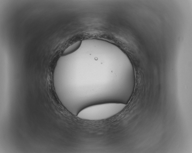 X0000111881397200907231417