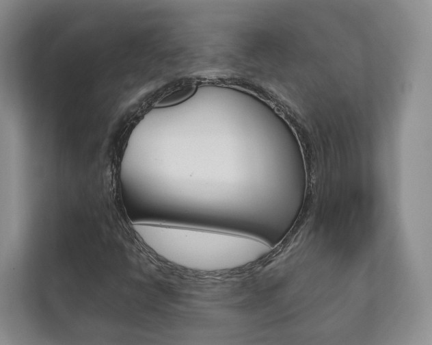 X0000111881398200907231417