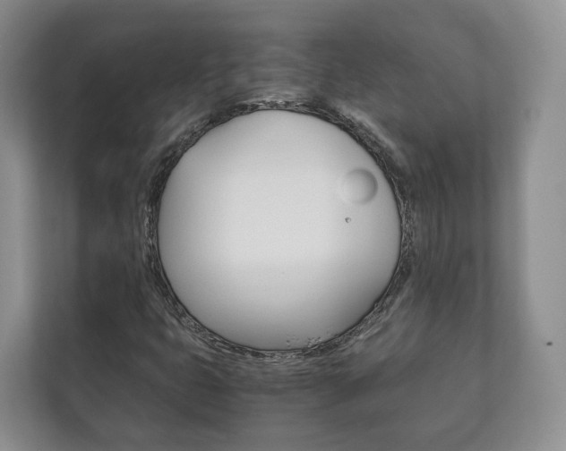 X0000111881399200907231417
