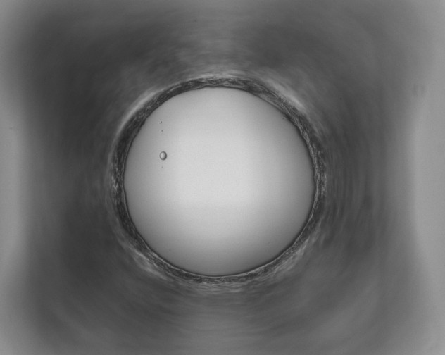 X0000111881400200907231417