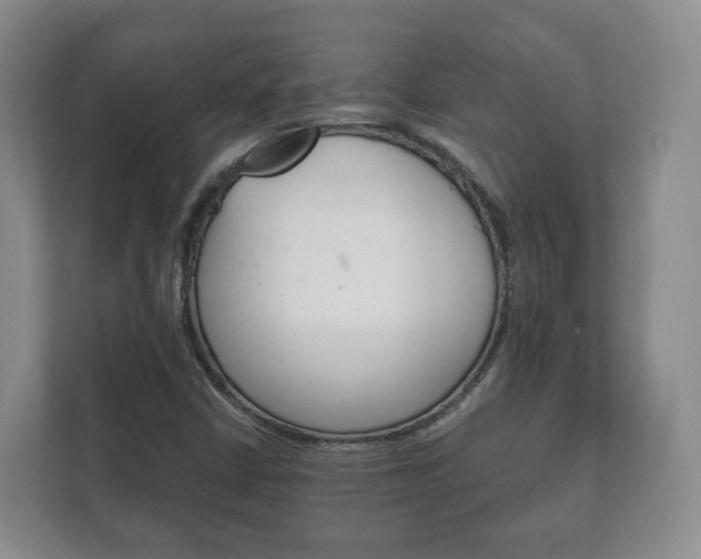X0000111881402200907231417