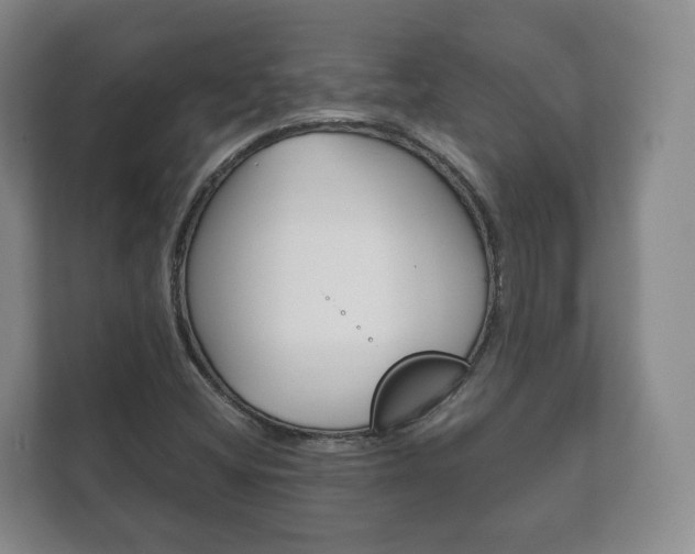 X0000111881404200907231417