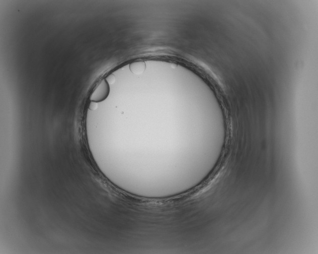 X0000111881405200907231417
