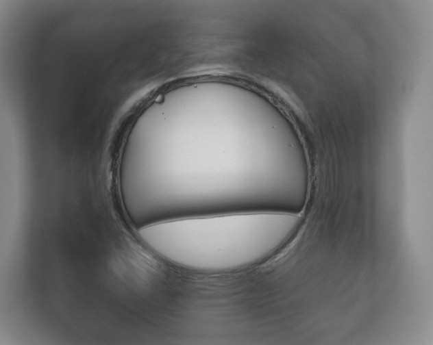 X0000111881406200907231417