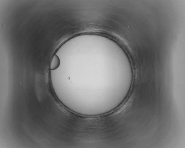X0000111881409200907231418