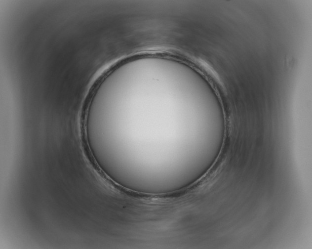 X0000111881412200907231418