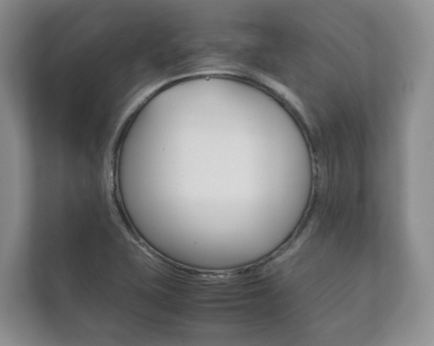 X0000111881415200907231418