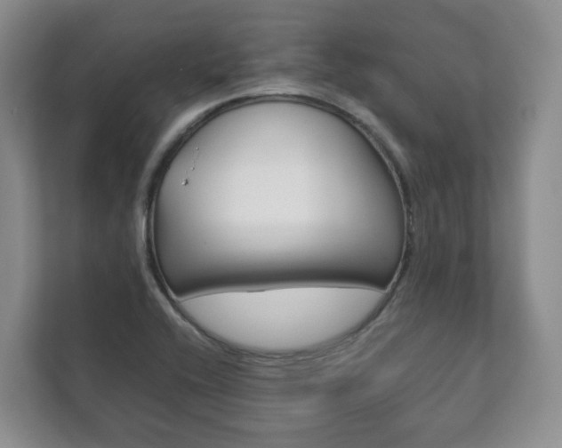 X0000111881416200907231418