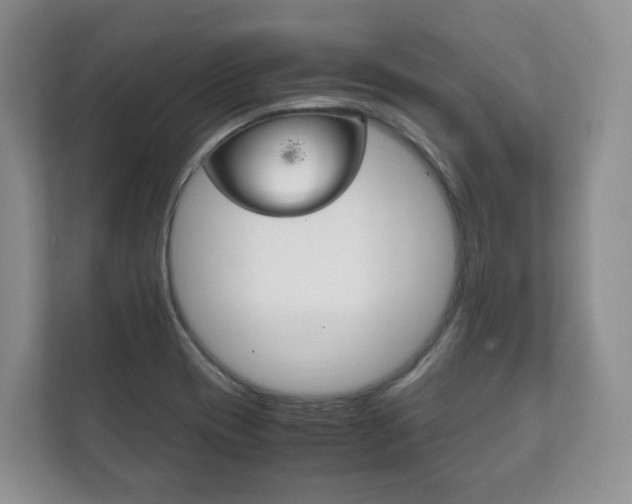 X0000111881417200907231418