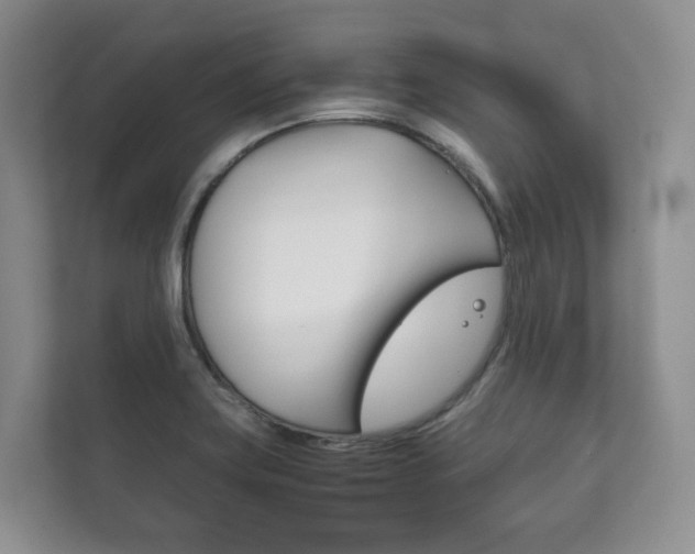 X0000111881419200907231418
