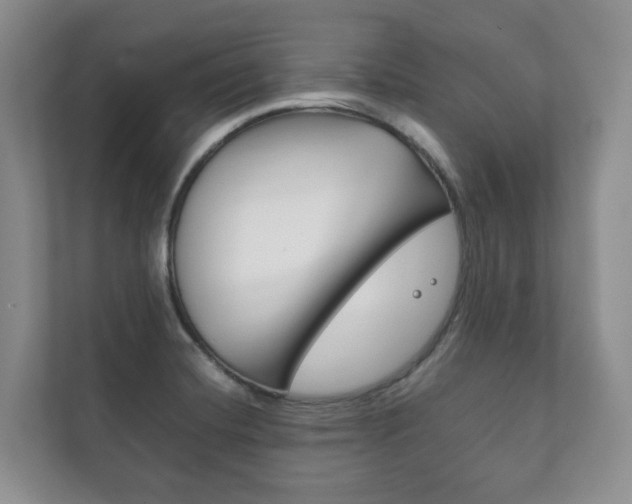 X0000111881420200907231418